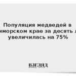 Популяция медведей в Приморском крае за десять лет увеличилась на 75%
