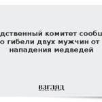 Следственный комитет сообщил о гибели двух мужчин от нападения медведей