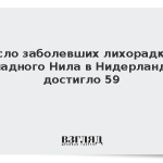 Число заболевших лихорадкой Западного Нила в Нидерландах достигло 59