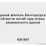 Мирный житель Белгородской области погиб при атаке украинского дрона