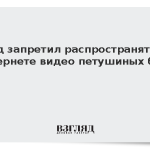 Суд запретил распространять в интернете видео петушиных боев