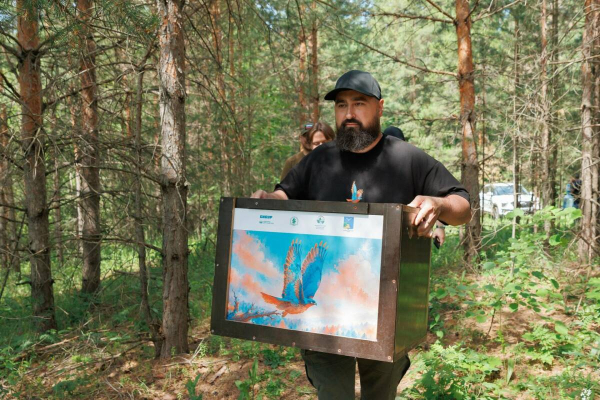 Соколы возвращаются: как Татарстан и СИБУР возрождают исчезнувшую популяцию балобана