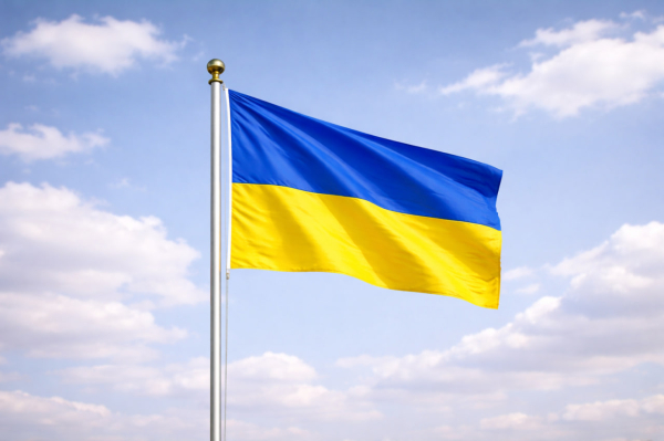 На Украине за 2025 год похитили почти полмиллиарда долларов