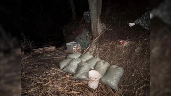 Отца с сыном задержали в Татарстане за вылов свыше 12 тысяч раков