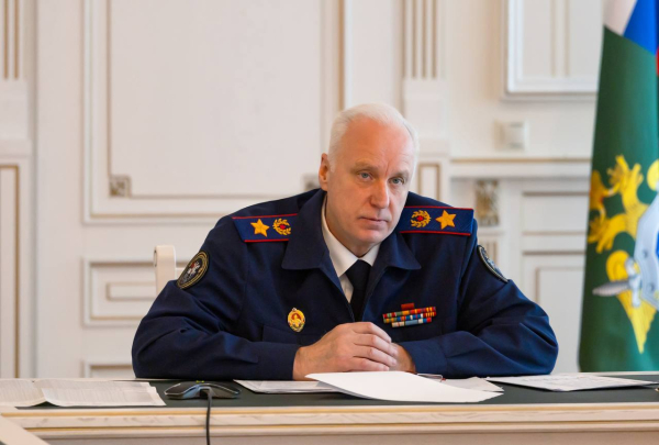 Бастрыкин потребовал доклад по делу о нападении собаки на девочку в Нижнекамске